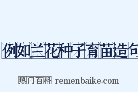 例如兰花种子育苗造句是什么意思的图片